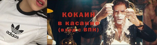 стафф Володарск