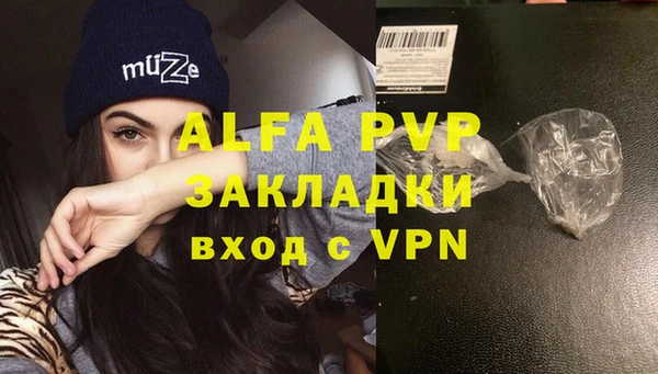 стафф Володарск