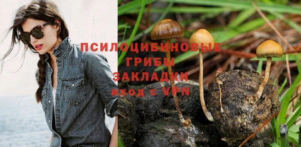 стафф Володарск